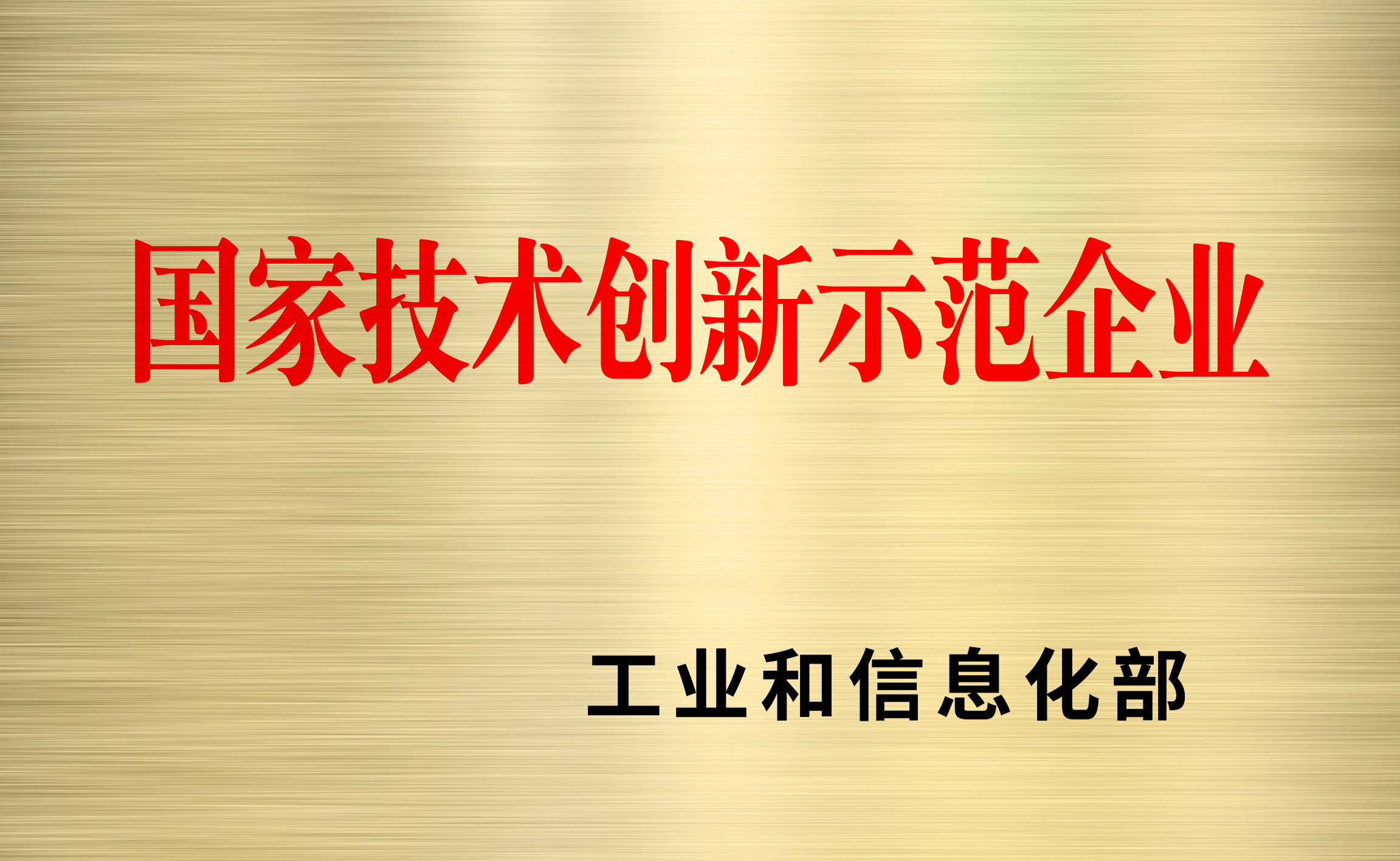 国家技术创新示范企业
